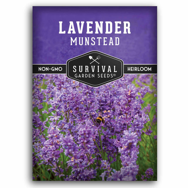 Lavender Munstead seed packet with 'Survival Garden Seeds' branding on a white background