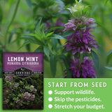 Lemon mint plant with a seed packet and text about starting from seed.