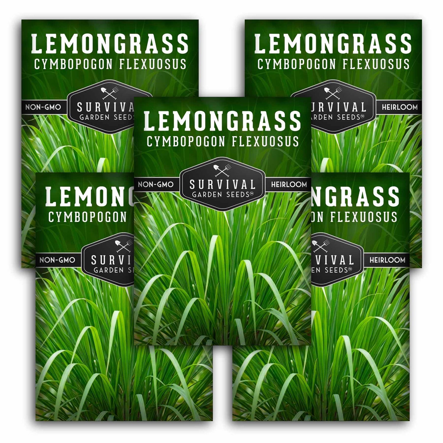 lemongrass plant fertilizer 5 Packs Lemongrass Seeds