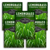 Five packages of Survival Garden Seeds Lemongrass seeds with green grass background