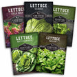 Five packages of Survival Garden Seeds lettuce varieties on a white background