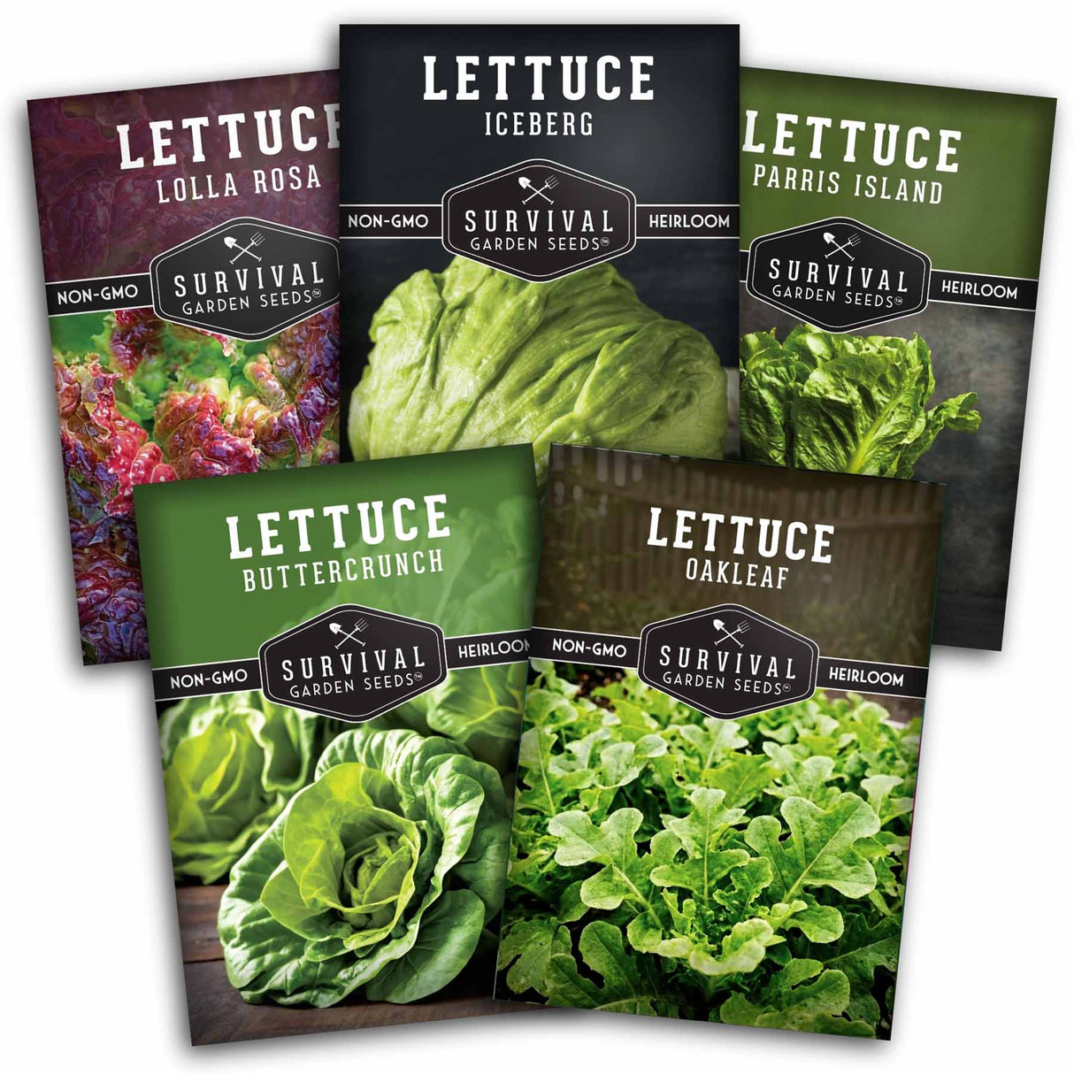 Five packages of Survival Garden Seeds lettuce varieties on a white background