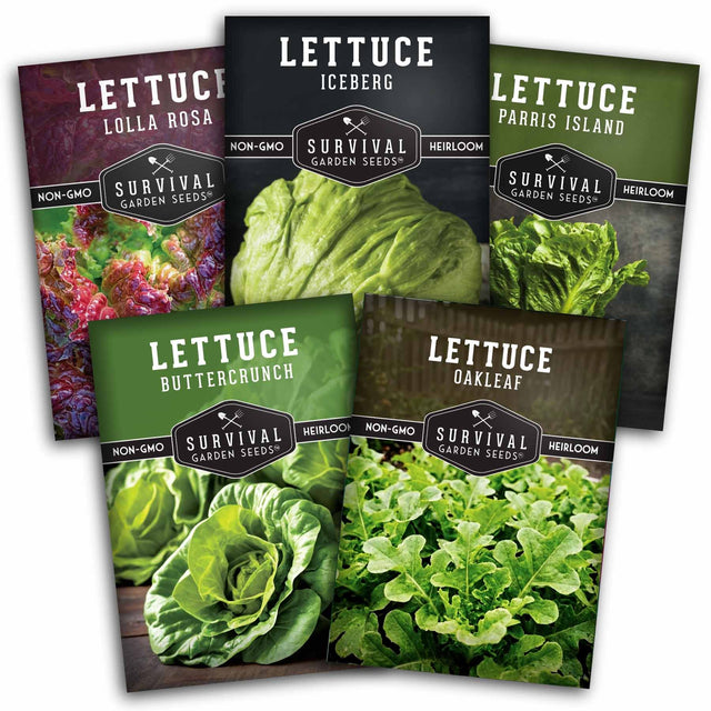 Five packages of Survival Garden Seeds lettuce varieties on a white background