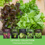 Assorted lettuces on a wooden surface with seed packets labeled 'Lettuce Collection' displayed below.
