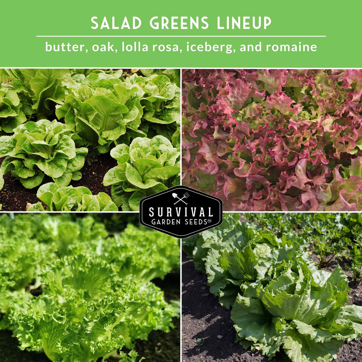 Collage of different types of salad greens with 'Survival Garden Seeds' logo.