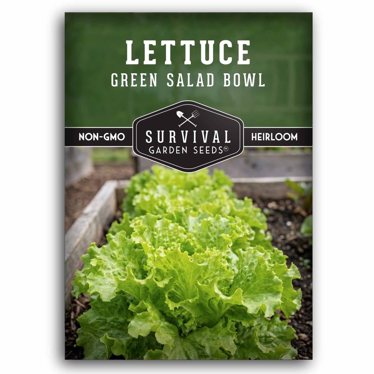 soaking lettuce seeds before planting Green Salad Bowl Lettuce – Heat-Tolerant Seeds – SurvivalGardenSeeds