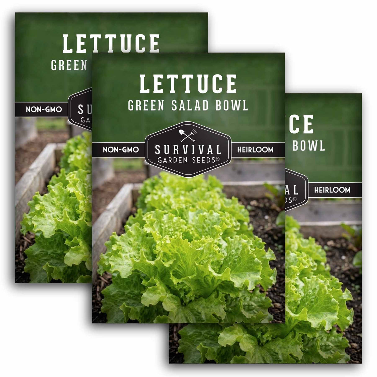 Green Salad Bowl Lettuce Seeds – AAS Award-Winning Heat-Tolerant Leaf Lettuce with Sweet, Frilly Green Leaves