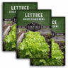 Green Salad Bowl Lettuce Seeds – AAS Award-Winning Heat-Tolerant Leaf Lettuce with Sweet, Frilly Green Leaves