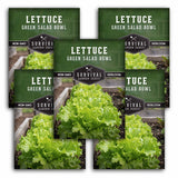 Green Salad Bowl Lettuce Seeds – AAS Award-Winning Heat-Tolerant Leaf Lettuce with Sweet, Frilly Green Leaves