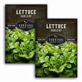 Two packages of Survival Garden Seeds Lettuce Oakleaf on a white background