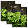 Three packages of Survival Garden Seeds Lettuce Oakleaf with green lettuce leaves in the background.