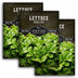Three packages of Survival Garden Seeds Lettuce Oakleaf with green lettuce leaves in the background.