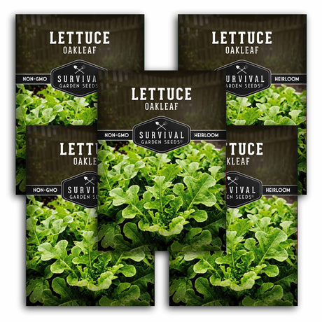 Survival Garden Seeds Lettuce Oakleaf packaging with green lettuce images.