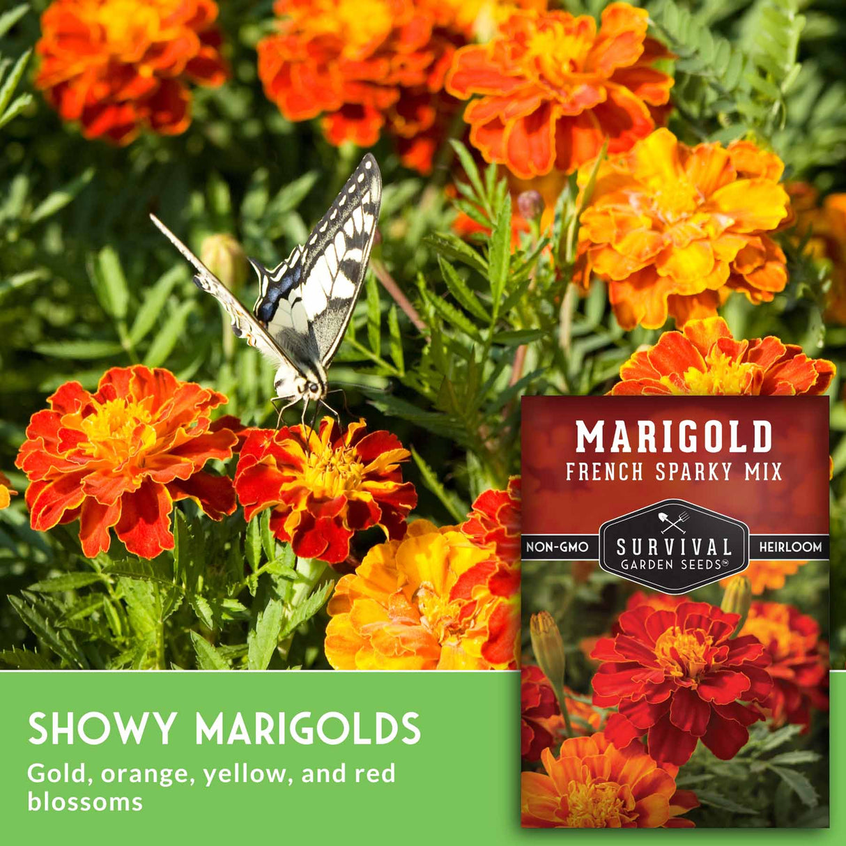 Marigold flowers with a butterfly and Survival Garden Seeds packaging.