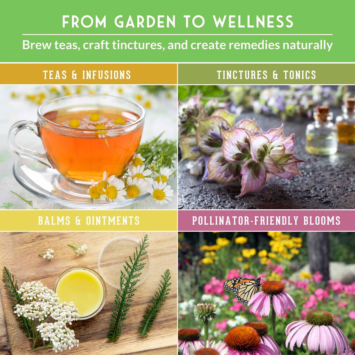 Collage of natural remedies and teas with text 'From Garden to Wellness' on a green background.