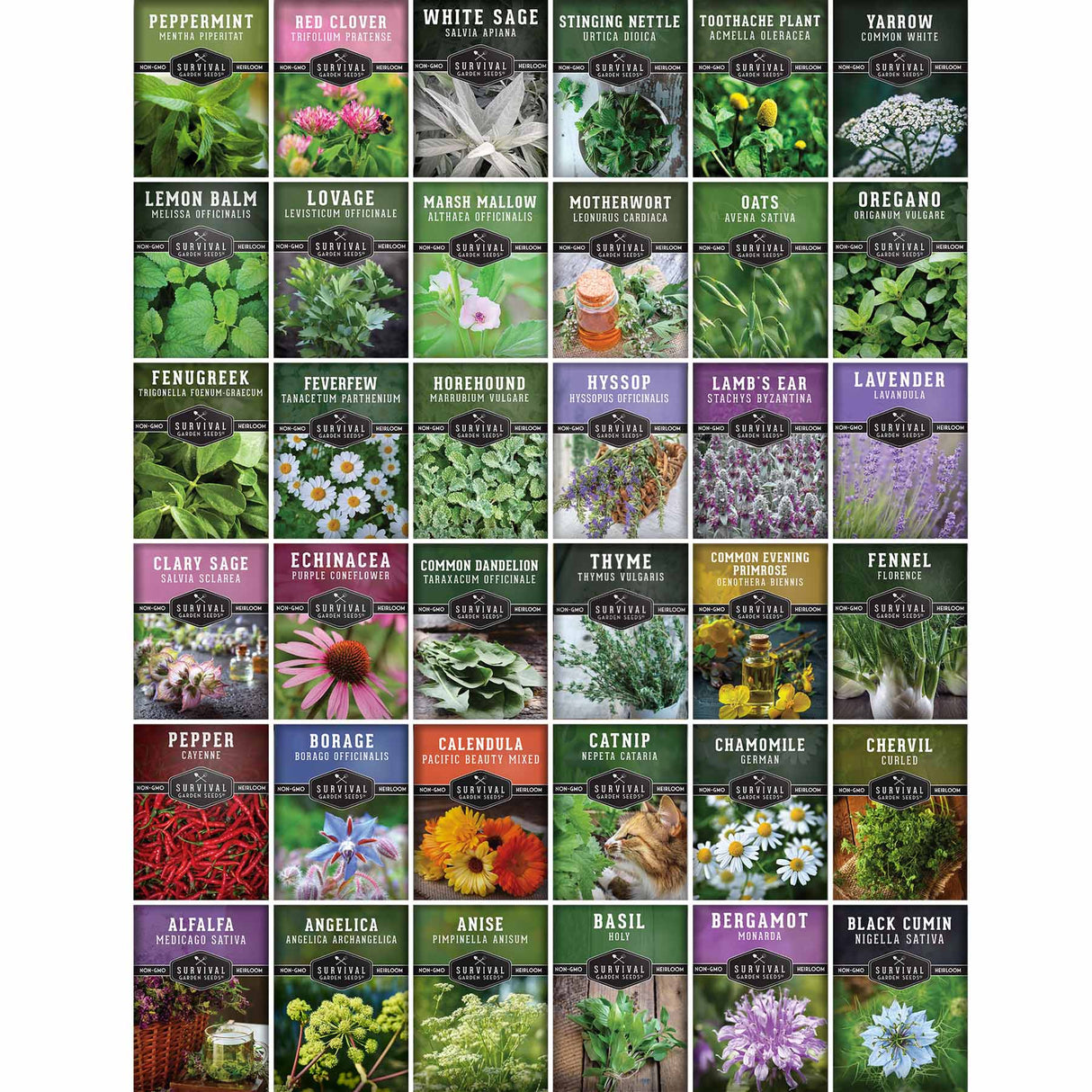 Collection of various seed packets with images and names of plants on a white background