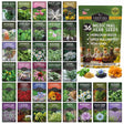 Collection of medicinal herb seed packets with images of herbs and a prominentSurvival Seed packet.