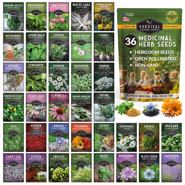 Collection of medicinal herb seed packets with images of herbs and a prominentSurvival Seed packet.