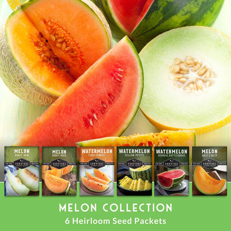 Melon collection with sliced melons and six heirloom seed packets displayed below.
