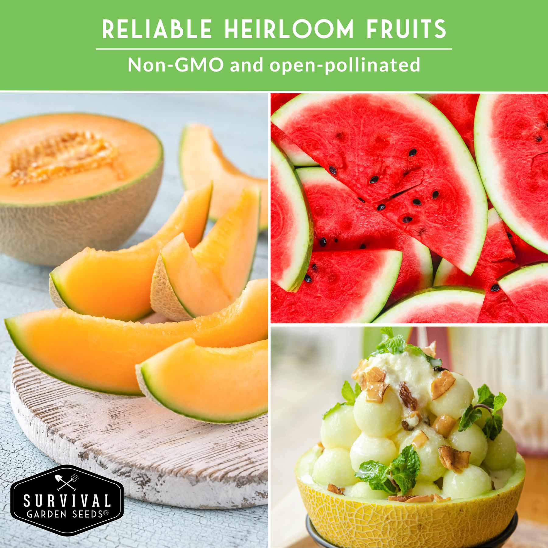 Melon Seed Collection - 6 Melon Varieties – SurvivalGardenSeeds