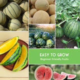 Collage of images showing different types of melons and watermelons with text 'Easy to Grow Beginner-friendly fruits'.