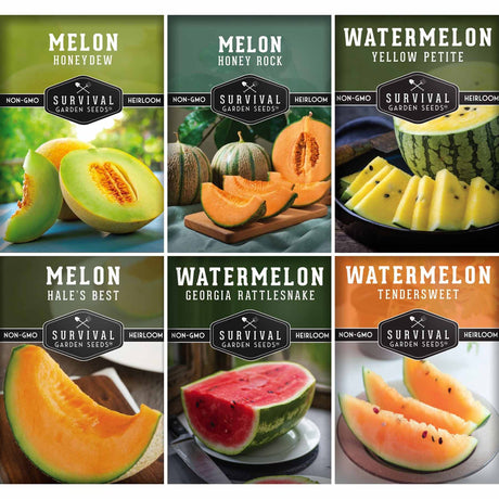 A 2x3 collage of six seed packet-style panels showing melon and watermelon varieties. The panels include text labels for Melon Honeydew, Melon Honey Rock, Melon Yellow Petite, Melon Hale's Best, Watermelon Georgia Rattlesnake, and Watermelon Tendersweet, each with fruit photos and the Survival Garden Seeds logo.