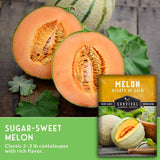 Melon seeds package with sliced melon on a wooden background