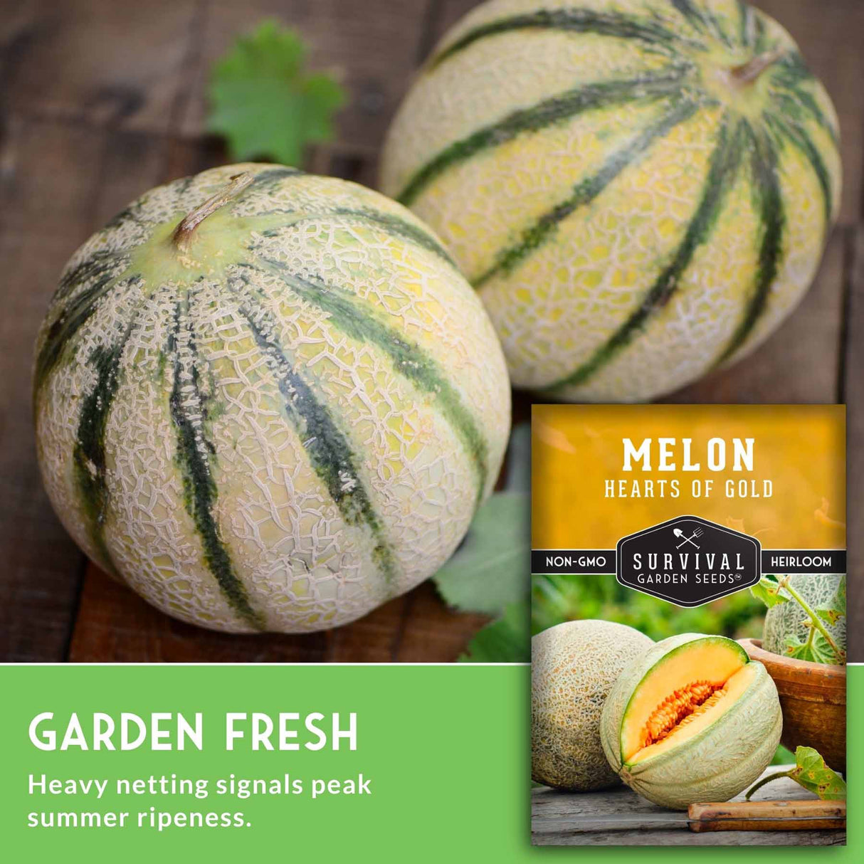 Two melons with a 'Melon Hearts of Gold' seed packet on a wooden surface.
