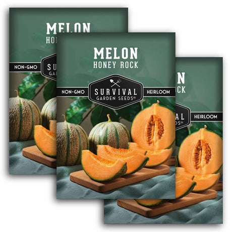 Three seed packet packages of Survival Garden Seeds Melon Honey Rock Heirloom non-GMO seeds, arranged in a staggered fan layout on a white background.