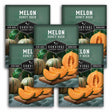 Five seed packet packages for 'Melon Honey Rock' survival garden seeds arranged in a fan shape. The packaging features a dark green background with illustrations of green-striped melons, sliced orange melon flesh on wooden boards, and white text.