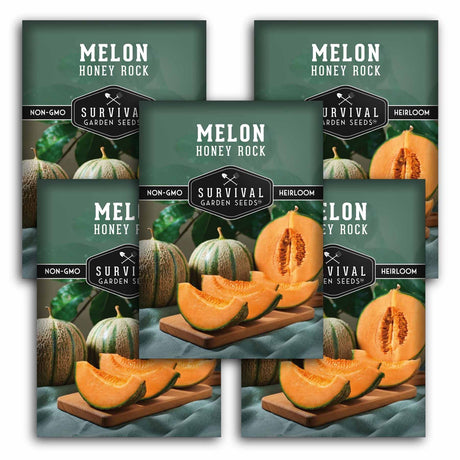 Five seed packet packages for 'Melon Honey Rock' survival garden seeds arranged in a fan shape. The packaging features a dark green background with illustrations of green-striped melons, sliced orange melon flesh on wooden boards, and white text.
