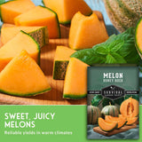 Melon slices, wedges, and a whole melon arranged on a wooden cutting board with fresh mint leaves, alongside a product label for Survival Garden Seeds 'Melon Honey Rock'.