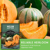 Melon seeds package shown over a close-up photo of honey melon fruits, with sliced orange melon wedges and whole striped melons in the background. Text on the package reads 'MELON Honey Rock' and 'Survival Garden Seeds'; a green banner says 'Reliable Heirloom'.