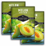 Three seed packet packages for Survival Garden Seeds Melon Honeydew are shown overlapping on a white background. The packets feature a green top section with white text and a lower photo of sliced cantaloupe melon on a blue plate against a blurred garden background.