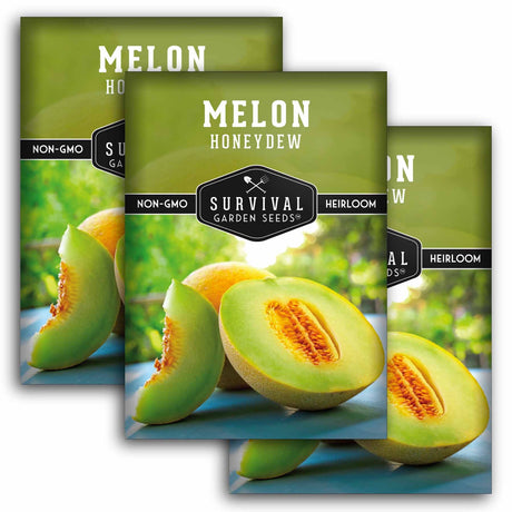 Three seed packet packages for Survival Garden Seeds Melon Honeydew are shown overlapping on a white background. The packets feature a green top section with white text and a lower photo of sliced cantaloupe melon on a blue plate against a blurred garden background.