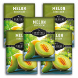 Five seed packet cards for 'Melon Honeydew' by Survival Garden Seeds, arranged in a fan-like layout. The packets feature a green and yellow design with a photo of fresh sliced melon on the front.