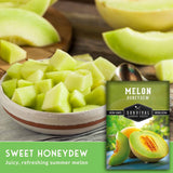 A bowl of chopped sweet honeydew melon sits on a rustic wooden table with melon slices in the background, alongside a package of Survival Garden Seeds Herblon Melon Honeydew seeds.