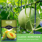 Survival Garden Seeds Classic Honeydew melon seed packet shown next to a large green melon hanging on a trellis in a garden.
