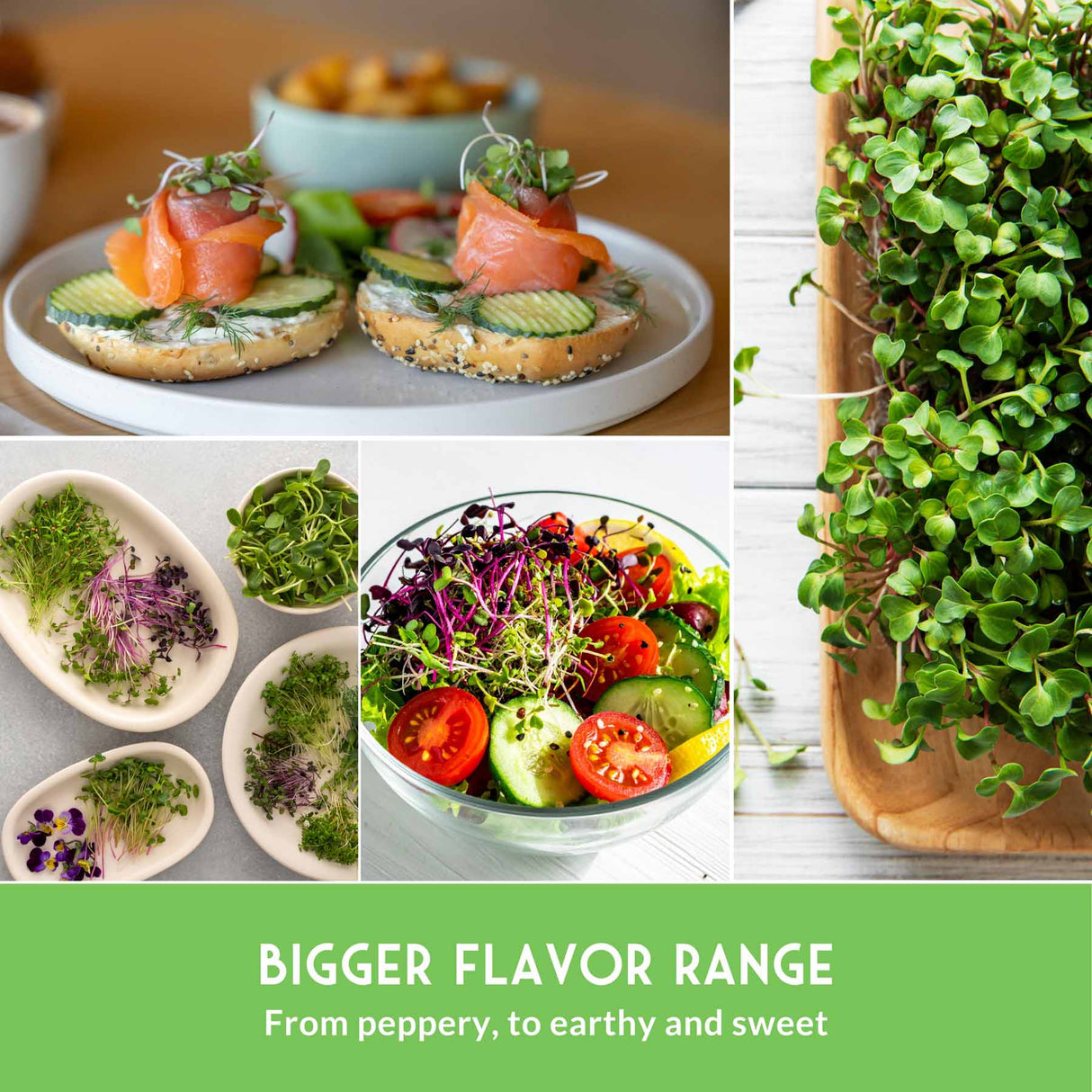 Collage of various food items including bagels with salmon and vegetables, microgreens, and a salad with a text overlay about flavor range.