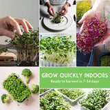 Collage of indoor gardening images with text 'Grow Quickly Indoors' and 'Ready to harvest in 7-14 days'.