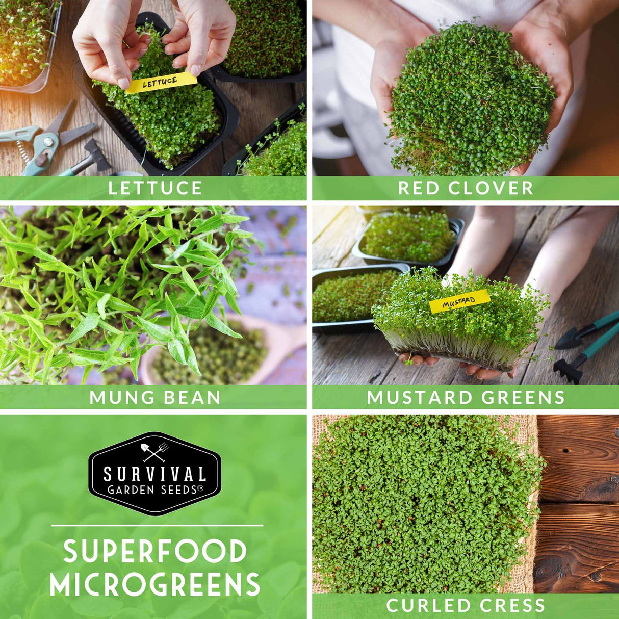 Collage of microgreens with labels and Survival Garden Seeds branding.