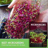 Hands holding a cluster of fresh beet microgreens with bright magenta-purple stems and green leaves, alongside a package label for Survival Garden Seeds Microgreens Beet.