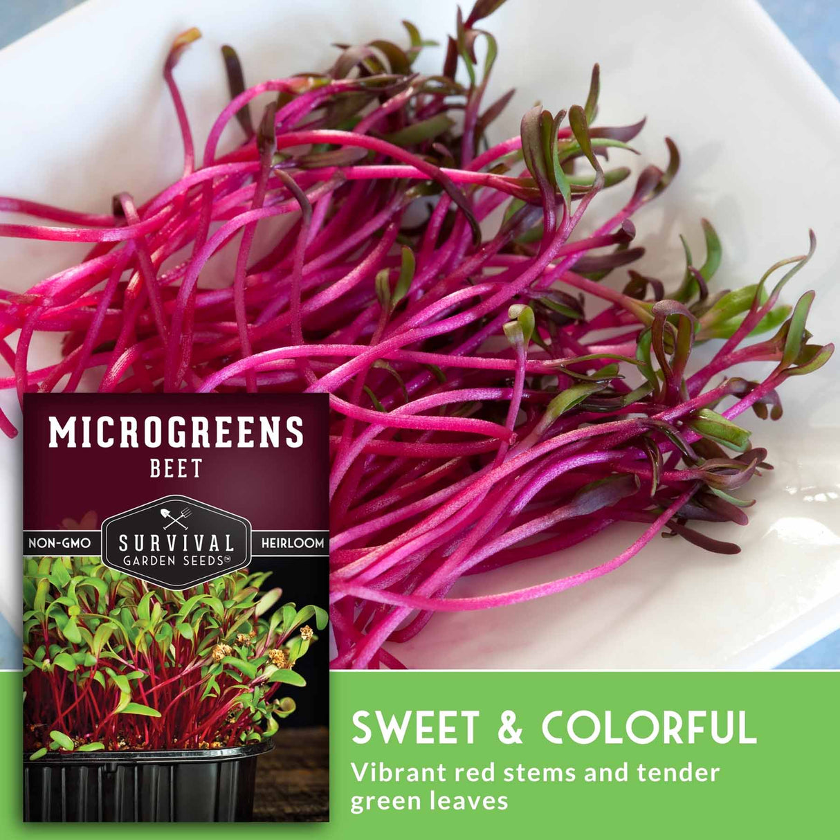 Microgreens beet seeds from Survival Garden Seeds, shown with a close-up of the vibrant pink-red and green microgreens growing in a white dish, alongside the product packaging and a green text banner.
