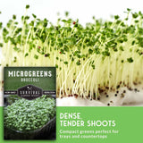 Broccoli microgreens growing densely with pale yellow stems and bright green leaves, shown alongside a seed packet labeled 'Microgreens Broccoli' and a green text panel reading 'Dense, Tender Shoots.'.