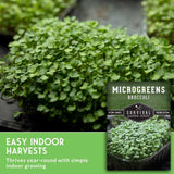 Microgreens broccoli seed product image showing a close-up of fresh green microgreens in a tray, with a product label overlay reading 'MICROGREENS BROCCOLI' and 'EASY INDOOR HARVESTS'.