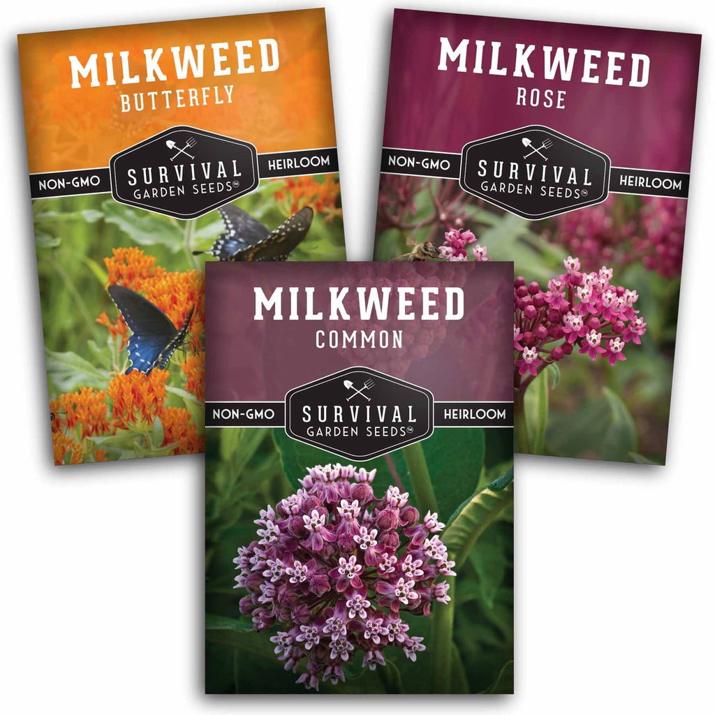Milkweed collection