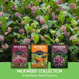 Three seed packets for Survival Farm Milkweed Collection are displayed in front of a lush background of milkweed plants with pink and purple flowers and green leaves. The packets are labeled Milkweed Rose, Milkweed Butterflies, and Milkweed Common, with 'MILKWEED COLLECTION' and '3 Heirloom Seed Packets' written at the bottom.