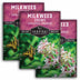 Three packages of Survival Garden Seeds Milkweed Showy with butterfly and plant images on a white background.
