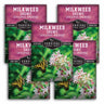 Multiple packages of Survival Garden Seeds Milkweed Showy on a white background