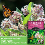 Milkweed plant with a monarch butterfly and Survival Garden Seeds packaging.